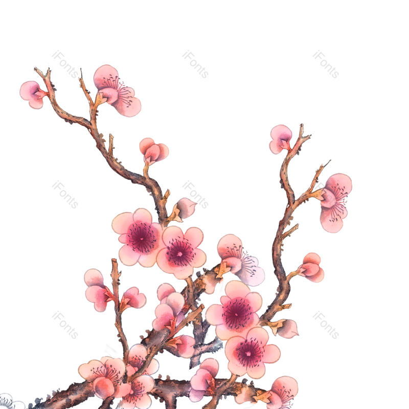 花朵图片,花朵素材元素,树枝PNG,植物素材免抠素材